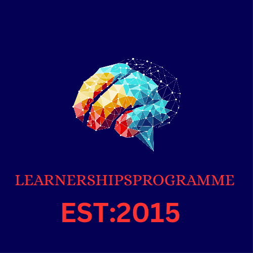 learnershipsprogramme.com